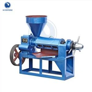 Castor Oil Press Machine